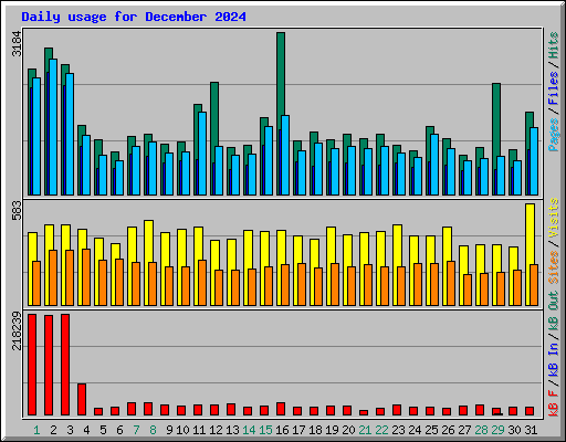 Daily usage for December 2024