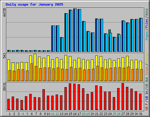 Daily usage for January 2025