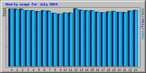 Hourly usage for July 2024