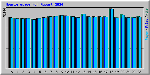 Hourly usage for August 2024