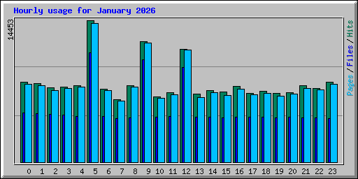 Hourly usage for January 2026