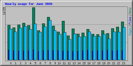 Hourly usage for June 2026